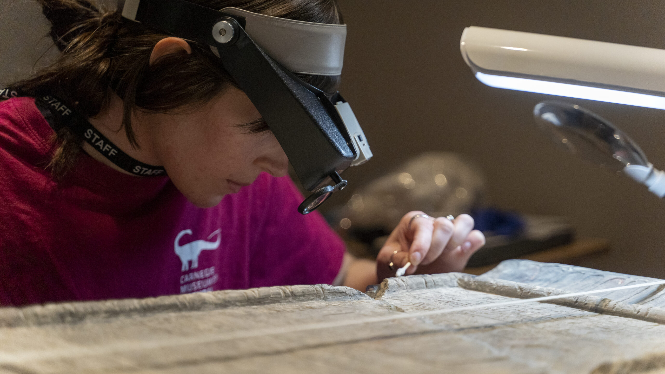 staff member cleaning a stele
